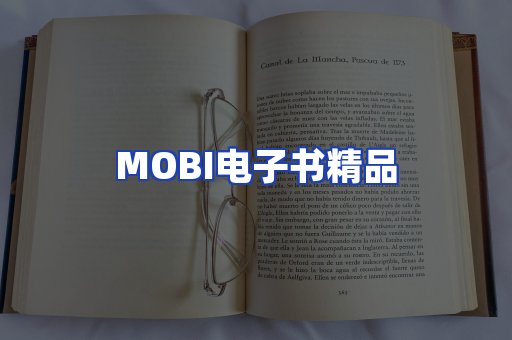 外文电子书产品